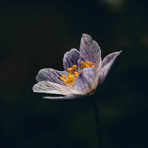 حاجی نسخیمون زده بالا همین پایین نیومده حوصلمون سر رفته